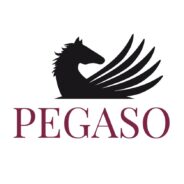 Pegaso University